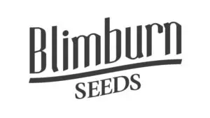 Founded by growers with more than fifteen years experience in the scene, Blimburn is well known for the high quality of its seeds. All Blimburn seeds are completely unique and are the result of years of study, hard work and stabilisation.